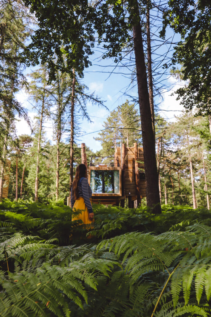 Your Nature Eco Resort Belgie Treeloft