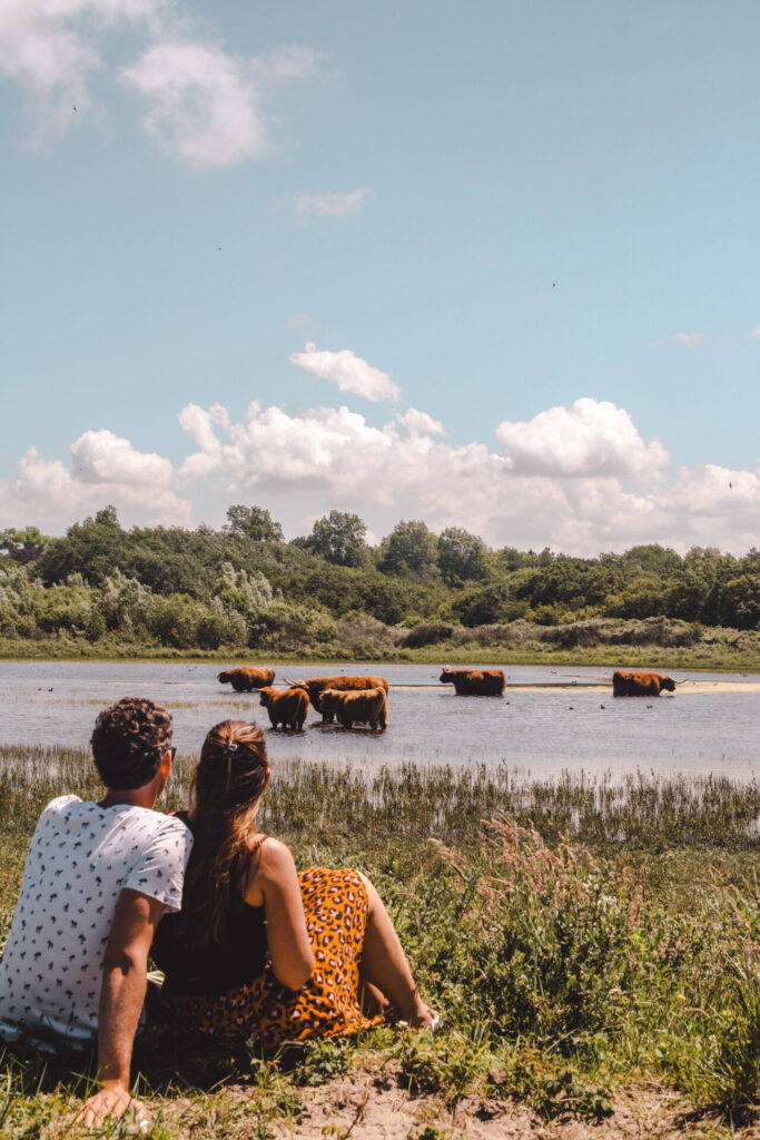Geversduin Noord-Hollands Duinreservaat